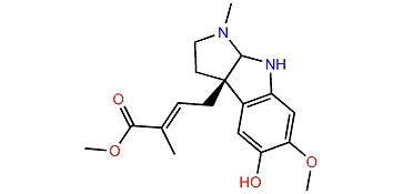 Pseudophrynamine 332